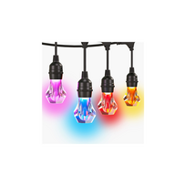 Nanoleaf Essentials Matter Smart Multicolour Outdoor String Lights Starter Kit 30m|16M+