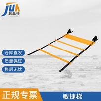 Speed Training Agility Ladder