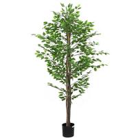 Dirbtinis fikuso augalas, žalios spalvos, 200cm, 1260 lapai
