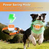 Tractive Gps Dog Tracker 4G LTE GPS Real-Time Location Tracking Dog Collar Daily Historical Route for Cats &Small Dogs China Mainland