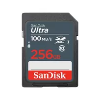 SanDisk 256GB SDXC UHS-I Class 10 atminties kortelė SDSDUNR-256G-GN3IN