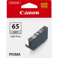 Canon CLI-65LGY šviesiai pilka rašalo kasetė