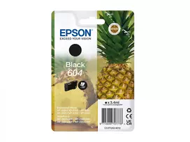 Epson 604 kasetė 1 vnt Originalus Standartinės talpos Juoda