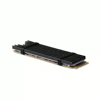Axagon CLR-M2L3 pasyvus aliumininis radiatoriaus šilumos šalintuvas M.2 SSD diskams, dydis 2280, aukštis 3 mm