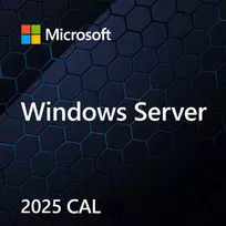 MS Windows Server 2025 CAL 5 įrenginiams Device CAL OEM (lenkiška versija)
