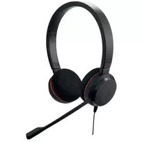 Jabra Evolve 20 ausinės laidinės galvos juosta Biuras/Skambučių centras USB Type-C / USB Type-A Juoda