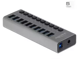 DeLOCK išorinis USB 3.2 Gen 1 10 prievadų šakotuvas su jungikliais, 5Gbps