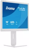 Monitorius iiyama ProLite B1980S-W1 48,3 cm (19 colių) 1280x1024 SVGA LED baltas