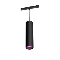 Philips Hue White and Colour Ambience Perifo cilindrinis pakabinamas šviestuvas