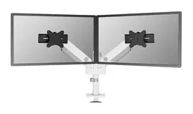 Neomounts DS65S-950WH2 Monitorių laikiklis 24-34 colių - dujinė spyruoklė - Topfix - daugialypis reguliavimas - 180° stabdiklis