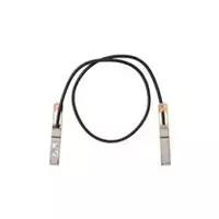 Cisco QSFP-100G-CU1M= InfiniBand / šviesolaidinis kabelis 1 m