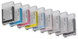 Epson T603700 šviesiai juodo pigmentinio rašalo kasetė, 220 ml, 1 vnt.