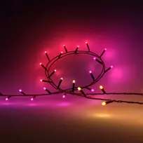 Philips Hue White and colour ambience protinga girlianda 8720169246621 Bluetooth/Zigbee 14 W