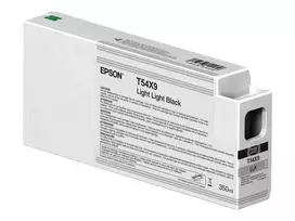 Epson T54X900 originali rašalo kasetė šviesiai šviesiai juoda 1 vnt.