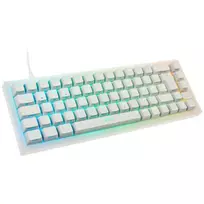 Mechaninė TKL žaidimų klaviatūra XTRFY K5 RGB — permatoma/balta
