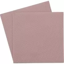Thermal Grizzly Minus Pad 8 šiluminė tarpinė 100 x 100 x 0,5 mm, 2 vnt.