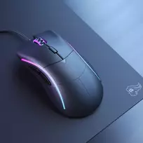 Glorious Model D žaidimų pelė Mod-Package - juoda