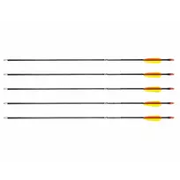 Strėlių rinkinys POE LANG D-055-B3 — stiklo pluošto strėlės, 710 mm, juodos, 5 vnt.