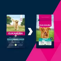 Sausas šunų ėdalas EUKANUBA Adult Large Breed Lamb & Rice 12 kg – pilnavertis sausas ėdalas suaugusiems didelių ir milžiniškų veislių šunims