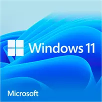 Windows 11 Home, operacinė sistema 64 bitų, vokiška, USB atmintinė