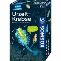 Kosmos 65787 papildytos realybės rinkinys, 8 metų amžiui, įvairiaspalvis