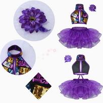 Girls Sequined Tutu Leotards Stage Performance Ballroom Dance Costume Jazz Modern Dance Dress Tulle Dress Dancewear 3-4 Years violetinė