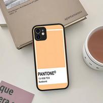Pantone Saldainių Spalvos IPhone 11 12 13 14 15 16 Pro Max Plus Matinis Pusiau Skaidrus Telefono Dangtelis iphone 15 plus