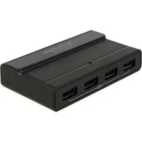 USB Hub Delock 4 prievadai 10Gbps išorinis
