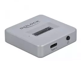 Delock M.2 Docking Station - Schnittstellenadapter - M.2 NVMe Card - USB 3.2 (Gen 2) - Silber