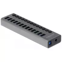 DeLOCK išorinis USB 3.2 Gen 1 (3.1 Gen 1) 13 prievadų jungiklis su maitinimo mygtukais, 5Gbps, pilkas aliuminis, 1 m