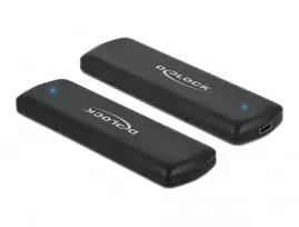 DeLOCK 42633 išorinis SSD dėklas M.2 NVMe/SATA USB Type-C