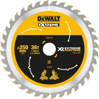 Pjūklo diskas DeWALT DT99572-QZ 25 cm 1 vnt.