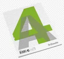 Užrašinė su išimamais lapais, Esselte, A4/100, linijuoja 0723-206