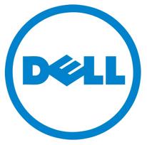 RAID valdiklio priedas DELL 470-AFHL, suderinamas su PowerEdge T350