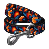 Nailoninis šuns pavadėlis Waudog 341-4054 – Oranges raštas, ilgis 122 cm