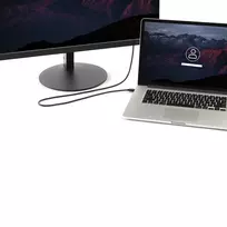 StarTech.com 6ft (2m) Mini DisplayPort į DisplayPort 1.2 laidas - 4K x 2K UHD Mini DisplayPort į DisplayPort adapterio laidas - Mini DP į DP laidas monitoriui - mDP į DP keitiklio laidas