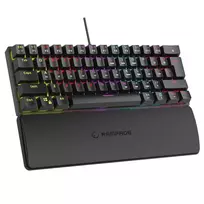 Mechaninė klaviatūra RAMPAGE PLOWER K60 su Blue jungikliais ir RGB foniniu apšvietimu