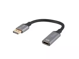 Lanberg AD-DP-HD-04 vaizdo kabelio adapteris 0,2 m DisplayPort → HDMI