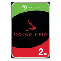 Seagate IronWolf Pro ST2000NT001 vidinis kietasis diskas 2 TB 7200 RPM 256MB 3,5 colio