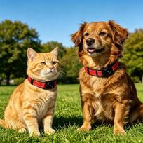 Pet Tracker Dog Cat Collar Apple Find My IP68 Waterproof Solid Reflective GPS Tracking Nylon ABS Adjustable S M L 4 Colors (Blue,S) mėlyna