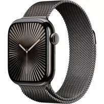 APPLE Watch Series 10 GPS + Cellular 42mm Slate Titanium dėklas su Slate Milanese apyranke