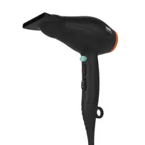 Plaukų džiovintuvas Fēns SBDR-4000-EU 4000W