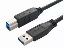 USB laidas Bachmann 917.1205 USB 3.2 Gen 1 1 m USB A USB B juodas