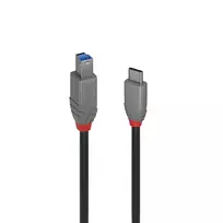 Lindy 1 m USB 3.2 Type C į B laidas, Anthra Line