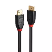 Lindy 10 m aktyvus DisplayPort 1.4 laidas