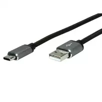 USB laidas ROLINE 11029029 USB 2.0 3m USB A USB C juodas sidabrinis