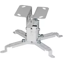 Techly lubinis projektoriaus laikiklis su prailginimu 130 mm sidabrinis ICA-PM 2S