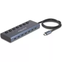 DeLOCK 63410 USB 3.2 Gen 1 Type-C USB centras 5000Mbit/s mėlynas