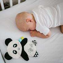 BABYONO Mielas žaislas PANDA POLLY