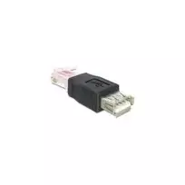 USB RJ45 adapteris DeLOCK 65234